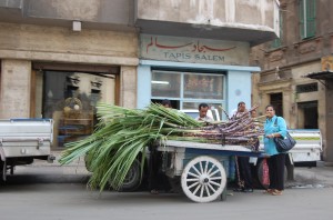 Alexandria, Turkey