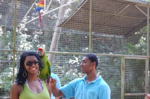 Parrot on my shoulder