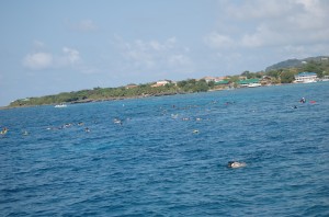 Roatan Coastline