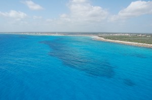 Costa Maya