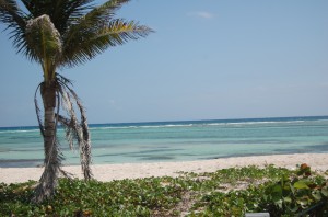 More Costa Maya